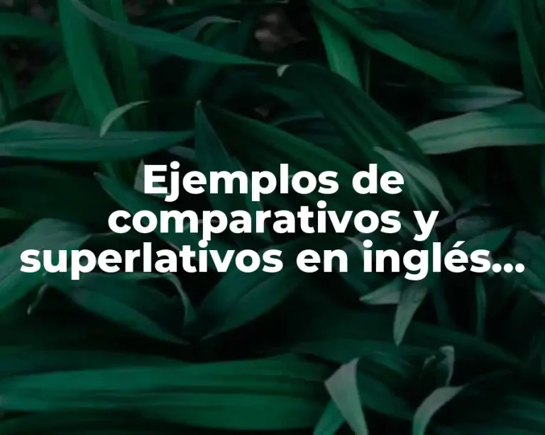 Ejemplos de comparativos y superlativos en inglés de dos sílabas