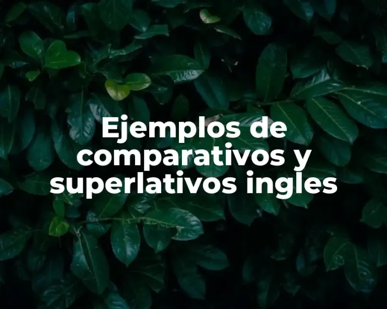 Ejemplos de comparativos y superlativos ingles