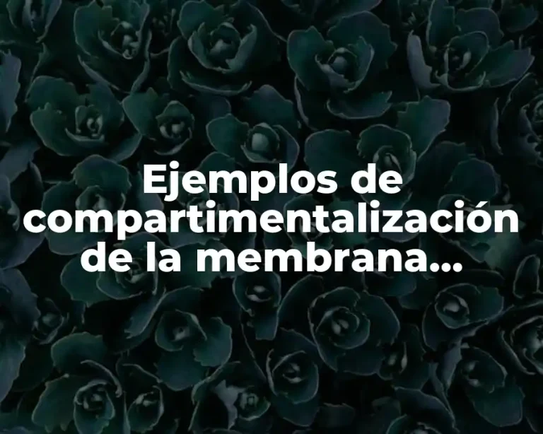 Ejemplos de compartimentalización de la membrana plasmática