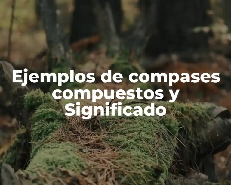 Ejemplos de compases compuestos y Significado