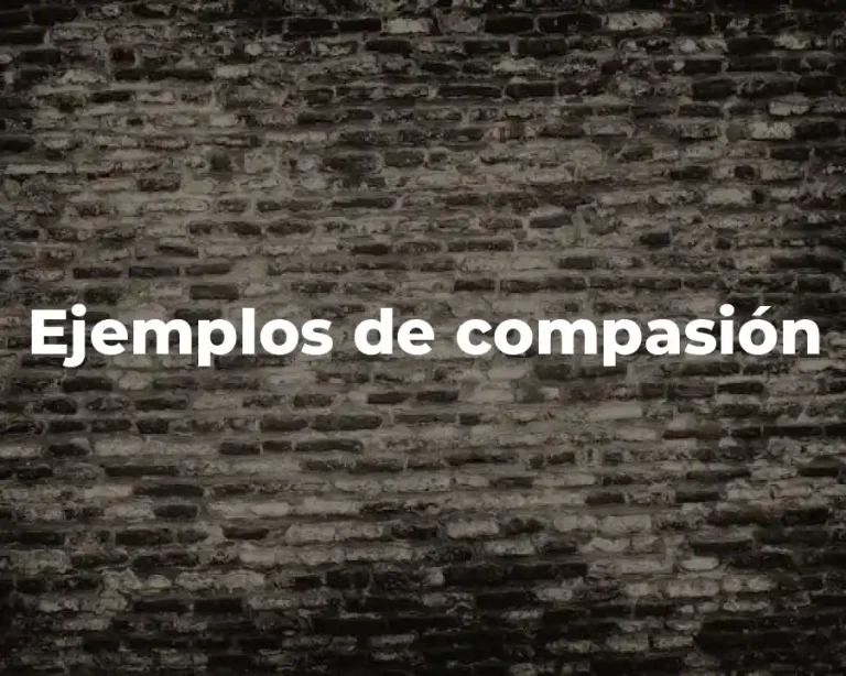Ejemplos de compasión