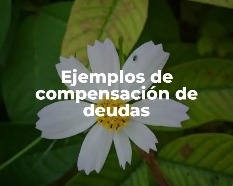 Ejemplos de compensación de deudas