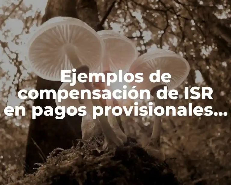 Ejemplos de compensación de ISR en pagos provisionales y Significado