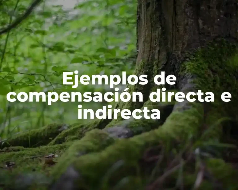 Ejemplos de compensación directa e indirecta
