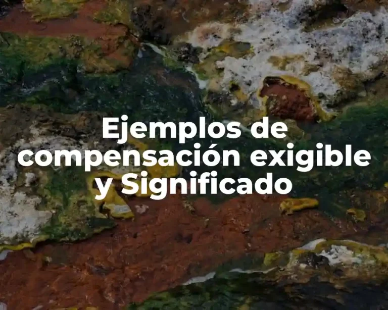 Ejemplos de compensación exigible y Significado