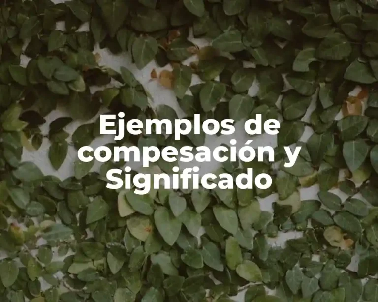 Ejemplos de compesación y Significado