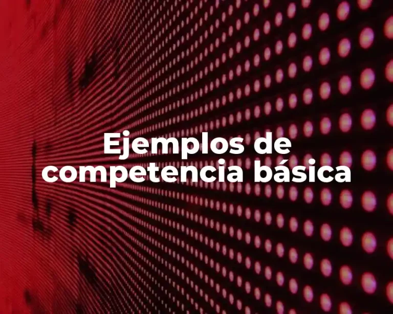 Ejemplos de competencia básica