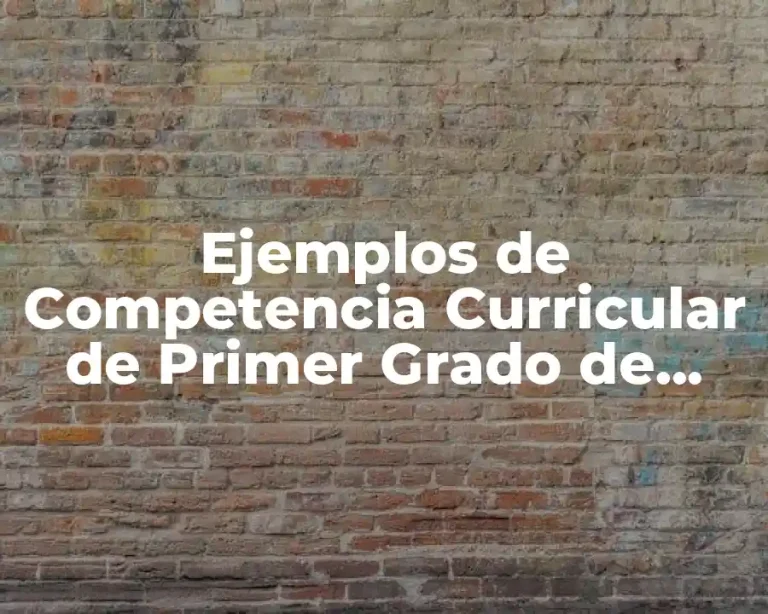 Ejemplos de Competencia Curricular de Primer Grado de Primaria