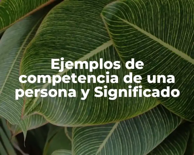Ejemplos de competencia de una persona y Significado