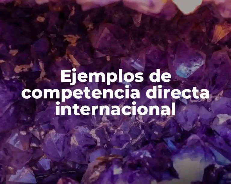 Ejemplos de competencia directa internacional