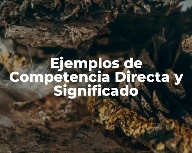 Ejemplos de Competencia Directa y Significado