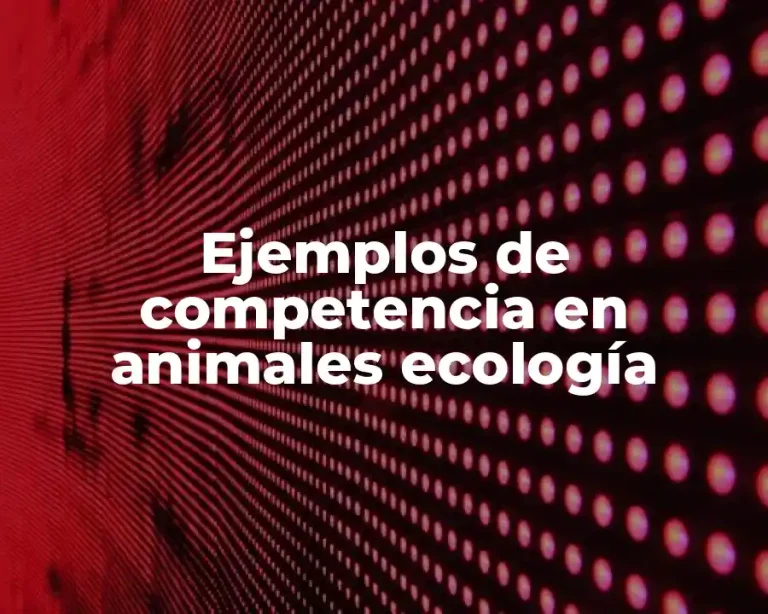 Ejemplos de competencia en animales ecología