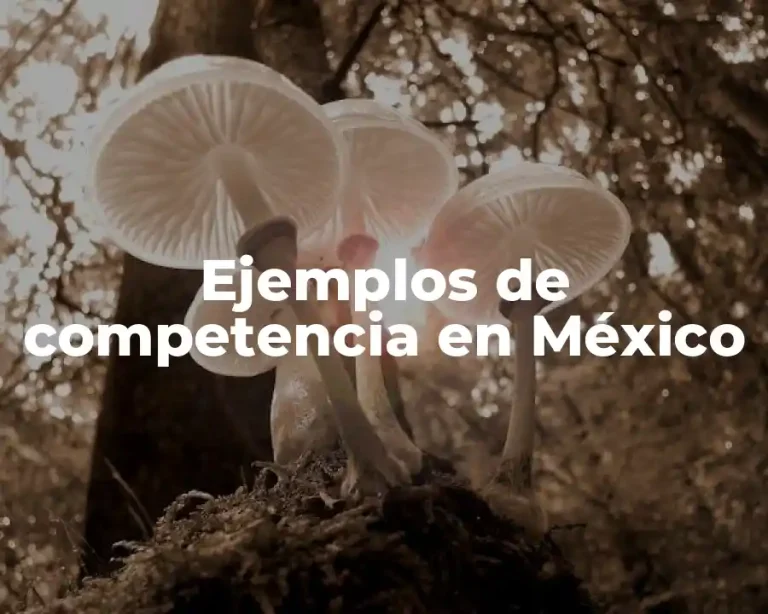 Ejemplos de competencia en México
