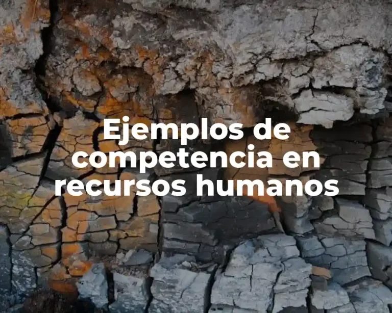 Ejemplos de competencia en recursos humanos