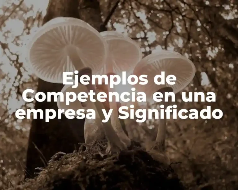 Ejemplos de Competencia en una empresa y Significado