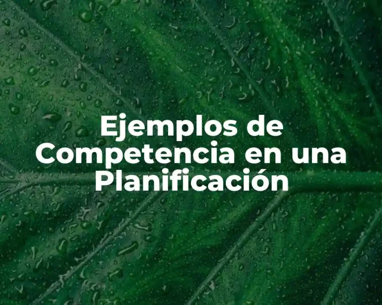Ejemplos de Competencia en una Planificación