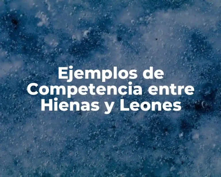 Ejemplos de Competencia entre Hienas y Leones