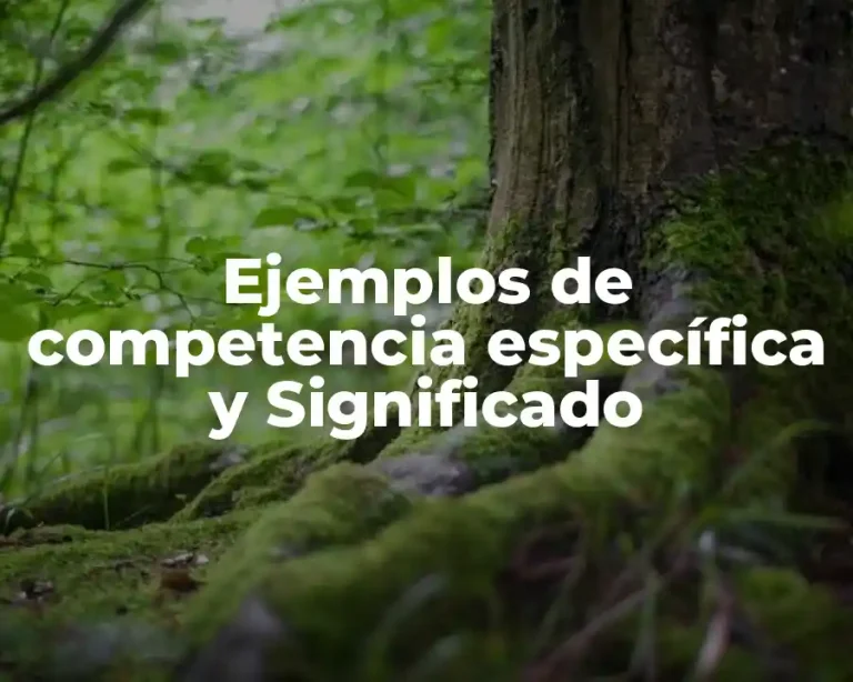 Ejemplos de competencia específica y Significado