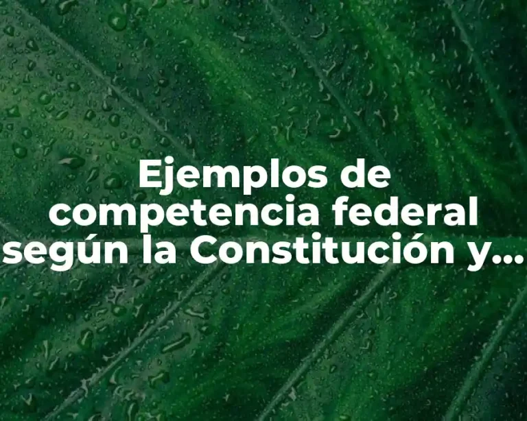 Ejemplos de competencia federal según la Constitución y Significado