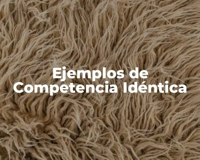 Ejemplos de Competencia Idéntica