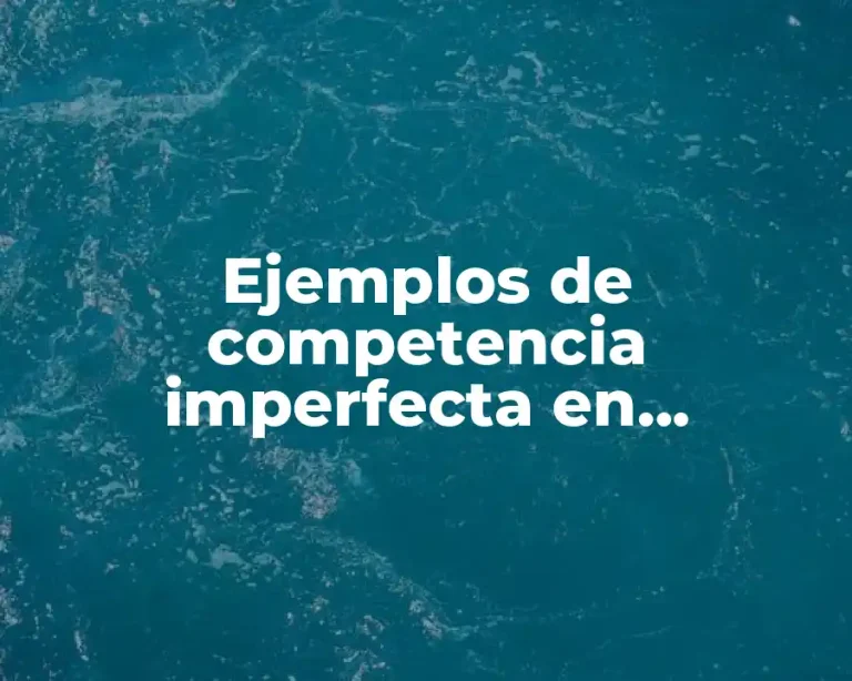 Ejemplos de competencia imperfecta en Nicaragua y Significado