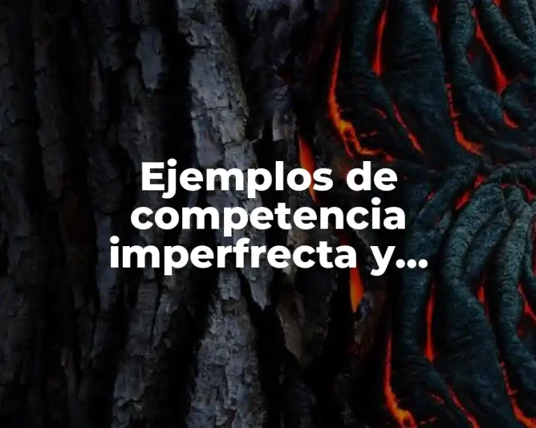 Ejemplos de competencia imperfrecta y Significado