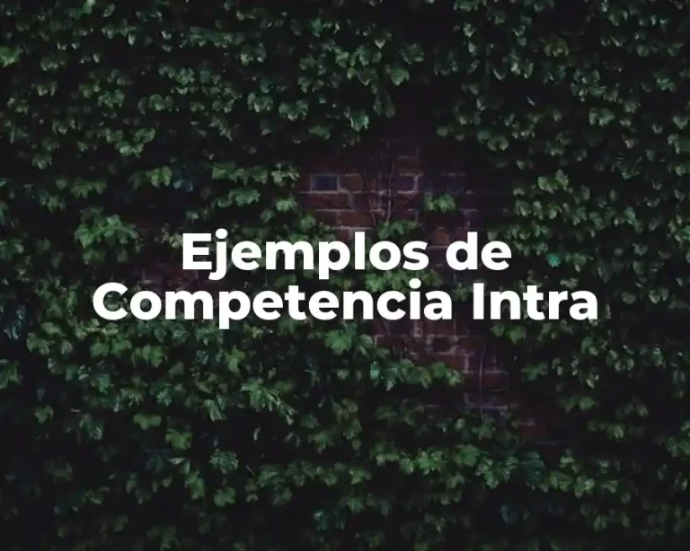 Ejemplos de Competencia Intra