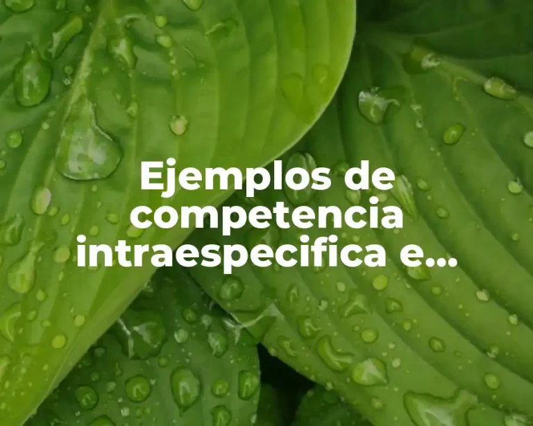 Ejemplos de competencia intraespecifica e interespecifica