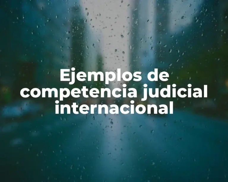 Ejemplos de competencia judicial internacional
