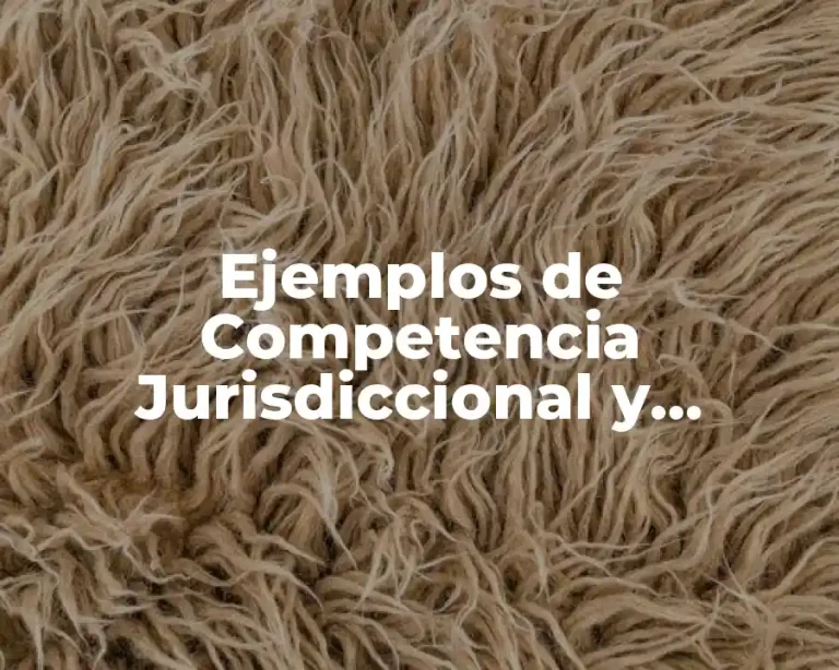 Ejemplos de Competencia Jurisdiccional y Significado