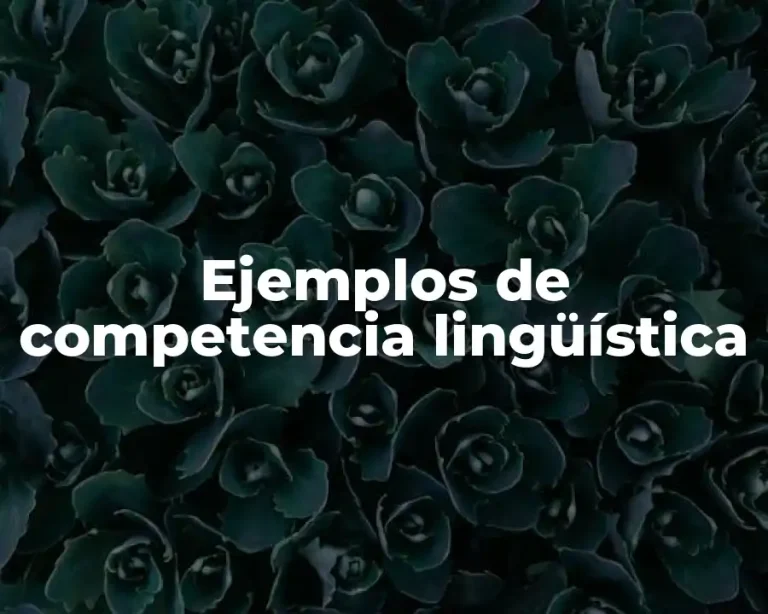 Ejemplos de competencia lingüística