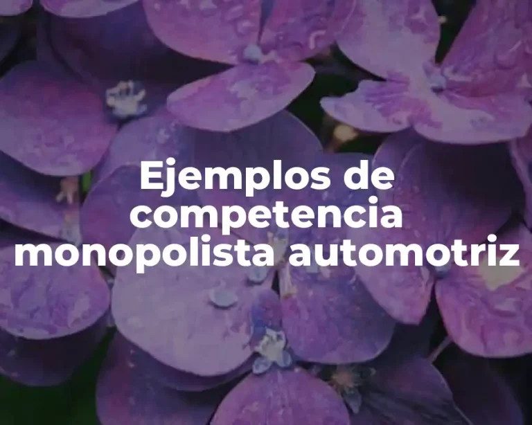 Ejemplos de competencia monopolista automotriz