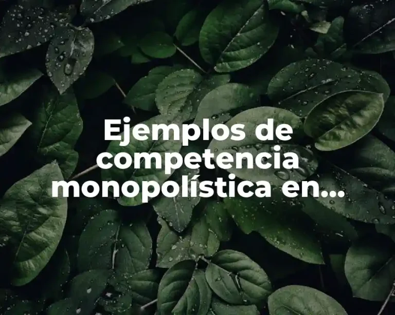 Ejemplos de competencia monopolística en Panamá