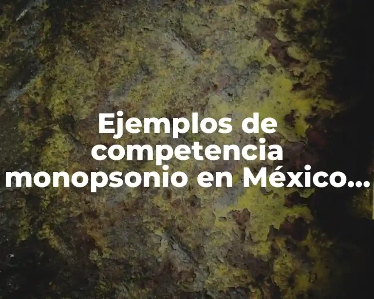 Ejemplos de competencia monopsonio en México y Significado