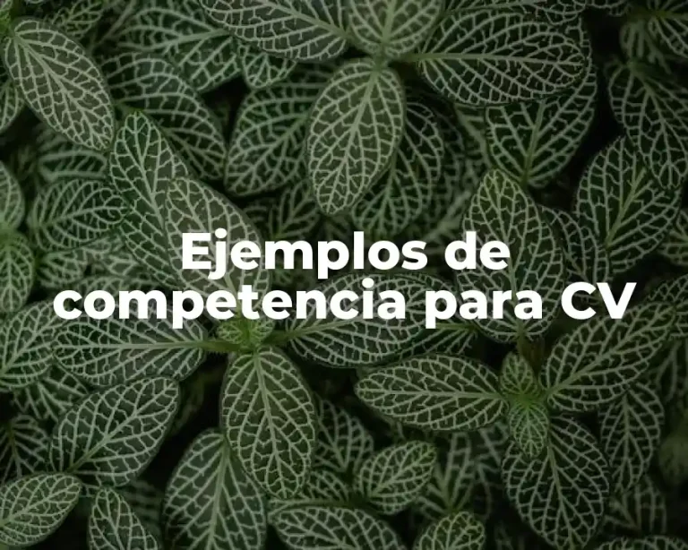 Ejemplos de competencia para CV