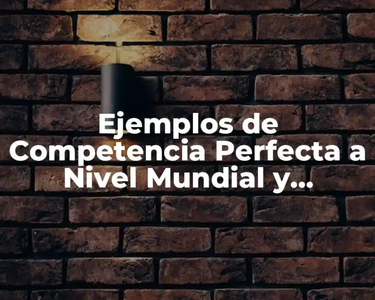 Ejemplos de Competencia Perfecta a Nivel Mundial y Significado