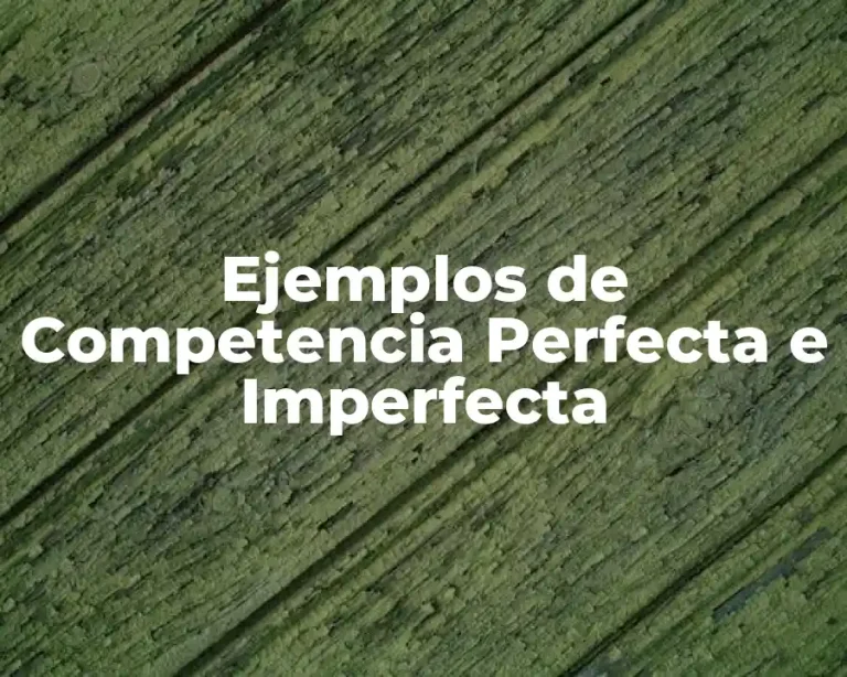 Ejemplos de Competencia Perfecta e Imperfecta