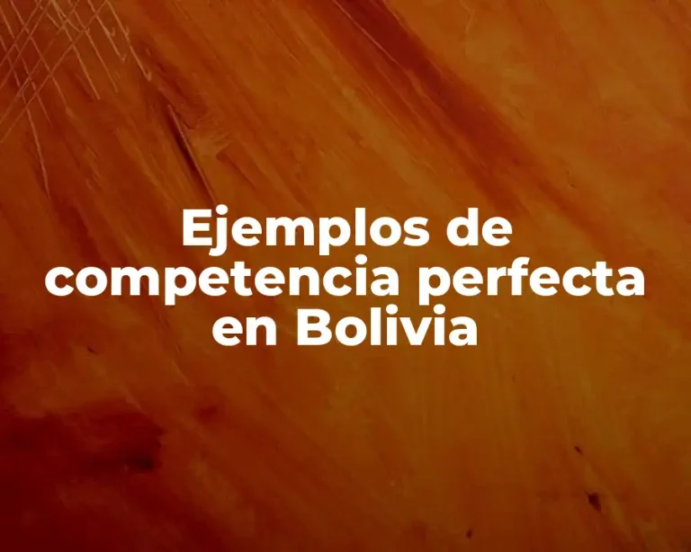 Ejemplos de competencia perfecta en Bolivia