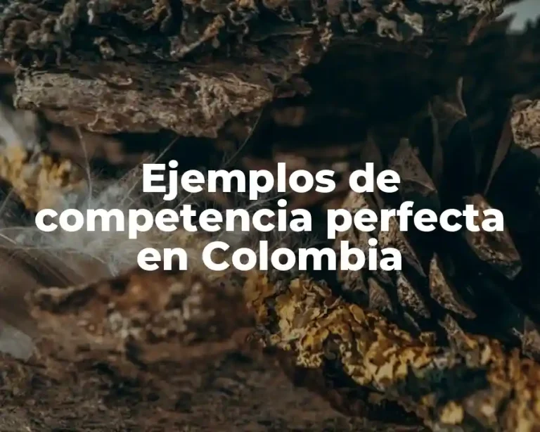 Ejemplos de competencia perfecta en Colombia