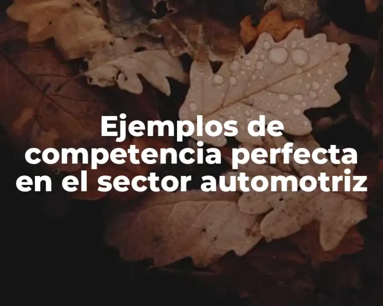 Ejemplos de competencia perfecta en el sector automotriz