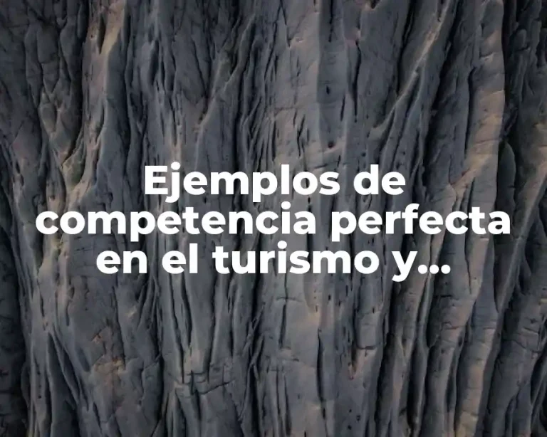 Ejemplos de competencia perfecta en el turismo y Significado