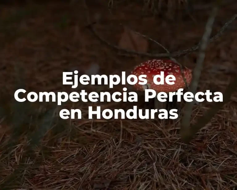 Ejemplos de Competencia Perfecta en Honduras