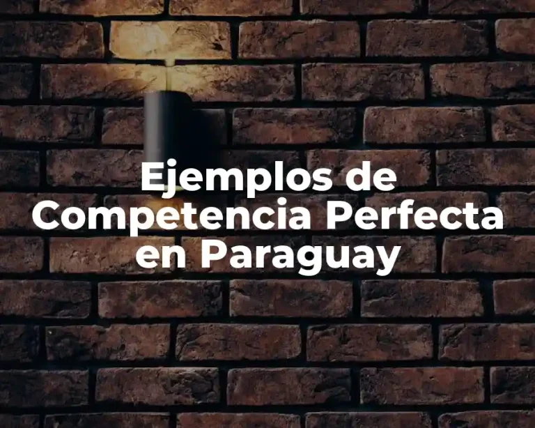 Ejemplos de Competencia Perfecta en Paraguay