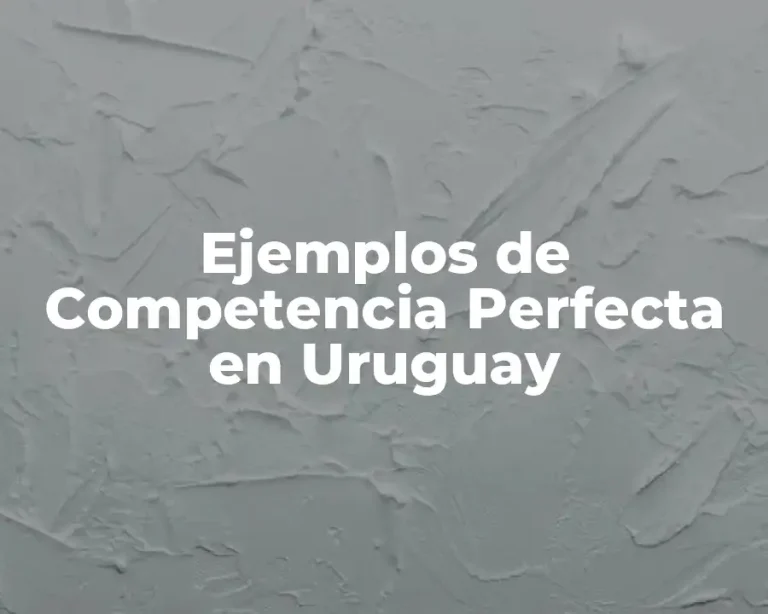 Ejemplos de Competencia Perfecta en Uruguay