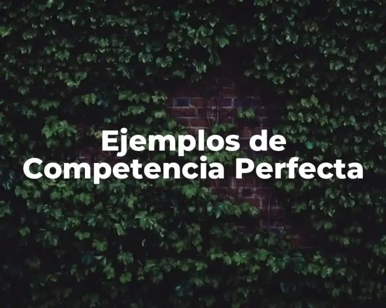 Ejemplos de Competencia Perfecta