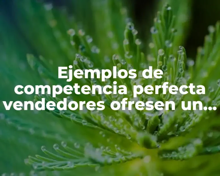 Ejemplos de competencia perfecta vendedores ofresen un producto homogeneo