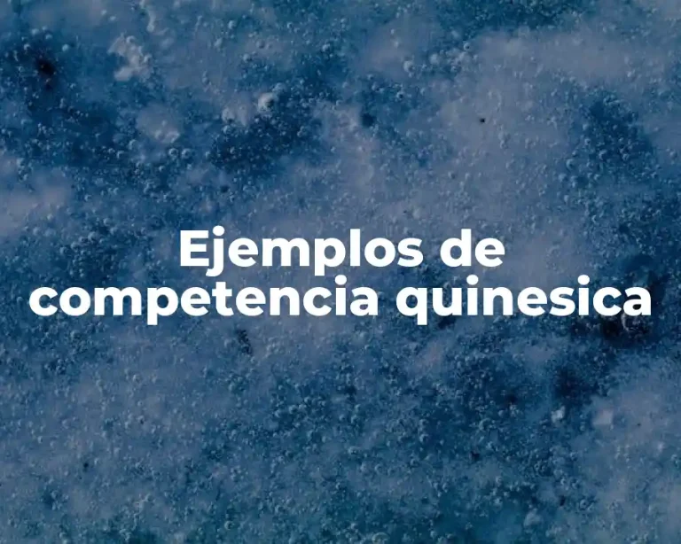 Ejemplos de competencia quinesica