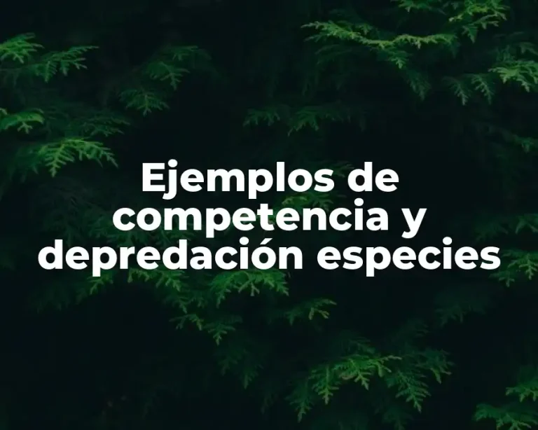 Ejemplos de competencia y depredación especies