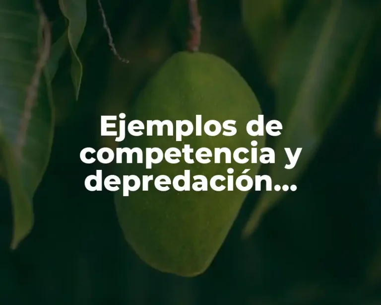 Ejemplos de competencia y depredación intraespecífica en ecología