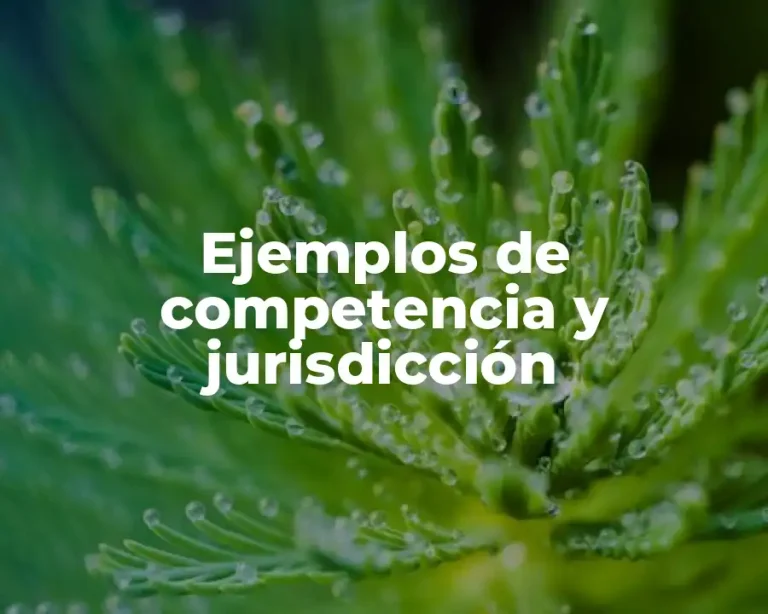 Ejemplos de competencia y jurisdicción